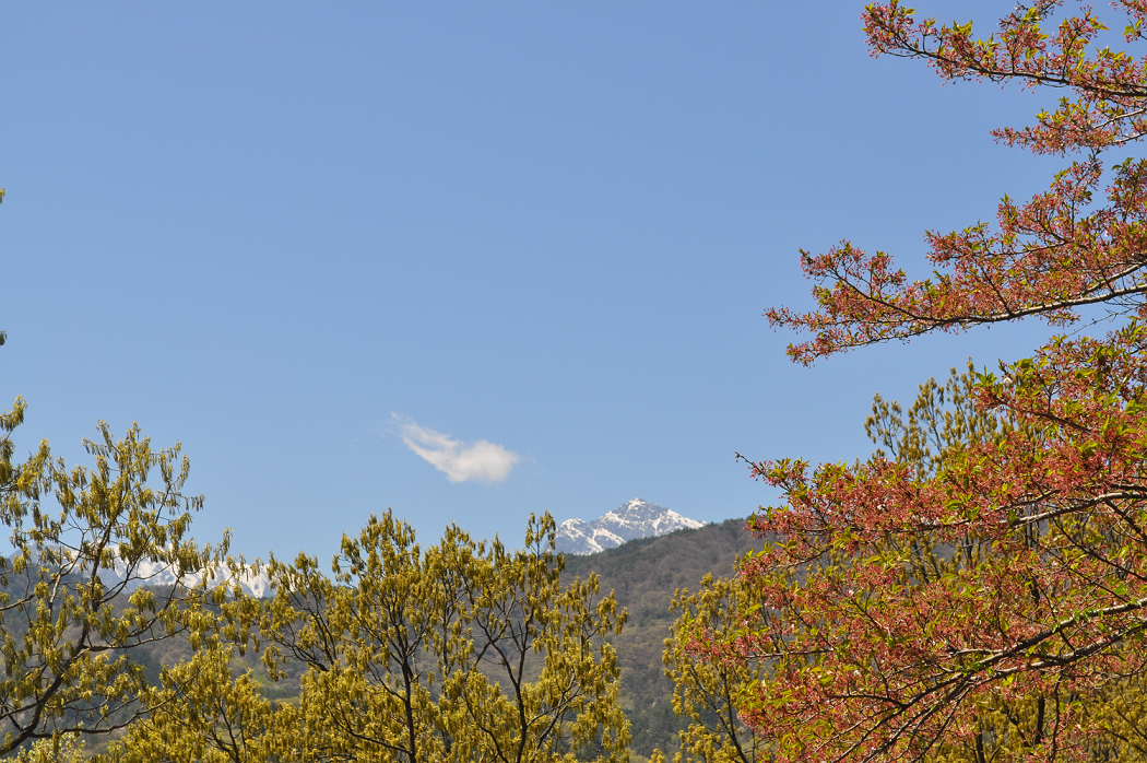 １７年４月２２日甲斐駒を除く