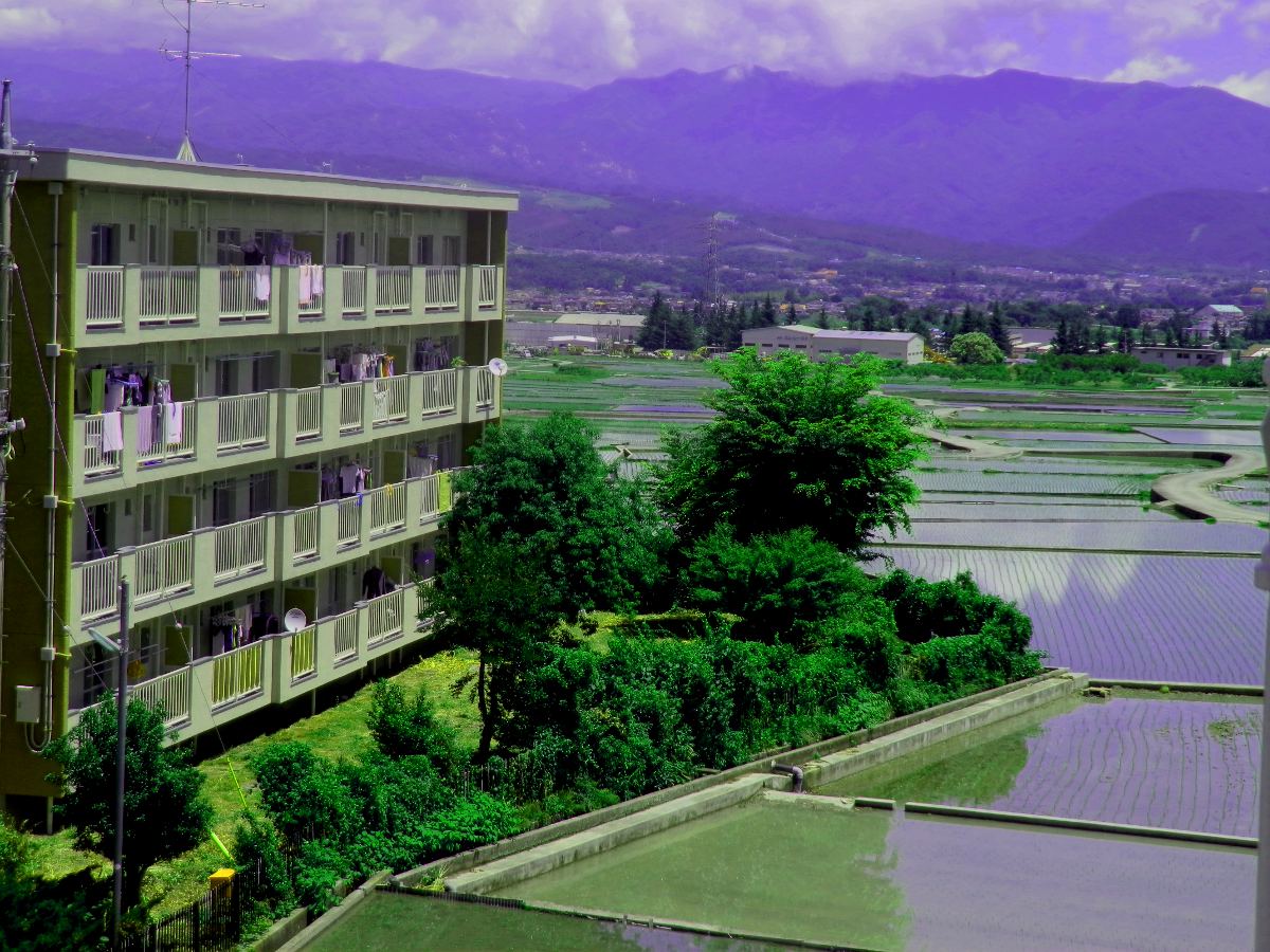 ツバメ舞う団地風景