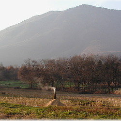 長野県黒姫開拓地の畑
