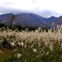 秋深まる妙高山茅景色