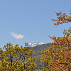 １７年４月２２日甲斐駒を除く