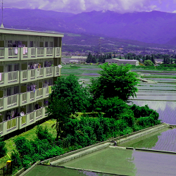 ツバメ舞う団地風景